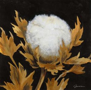 Cotton Balls I by Liz Jardine | Liquid Acrylic Art