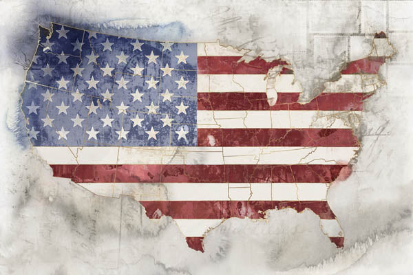 Map of USA by Roozbeh | Liquid Acrylic Art