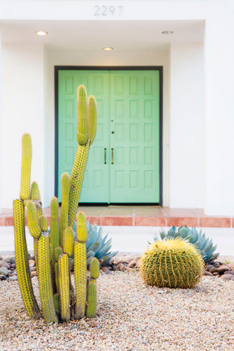 Palm Springs Villa - Puerta Verde by Irene Suchocki | Liquid Acrylic Art