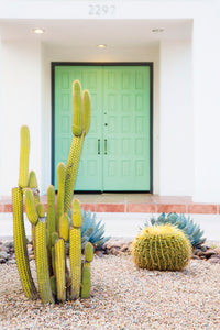 Palm Springs Villa - Puerta Verde by Irene Suchocki | Liquid Acrylic Art