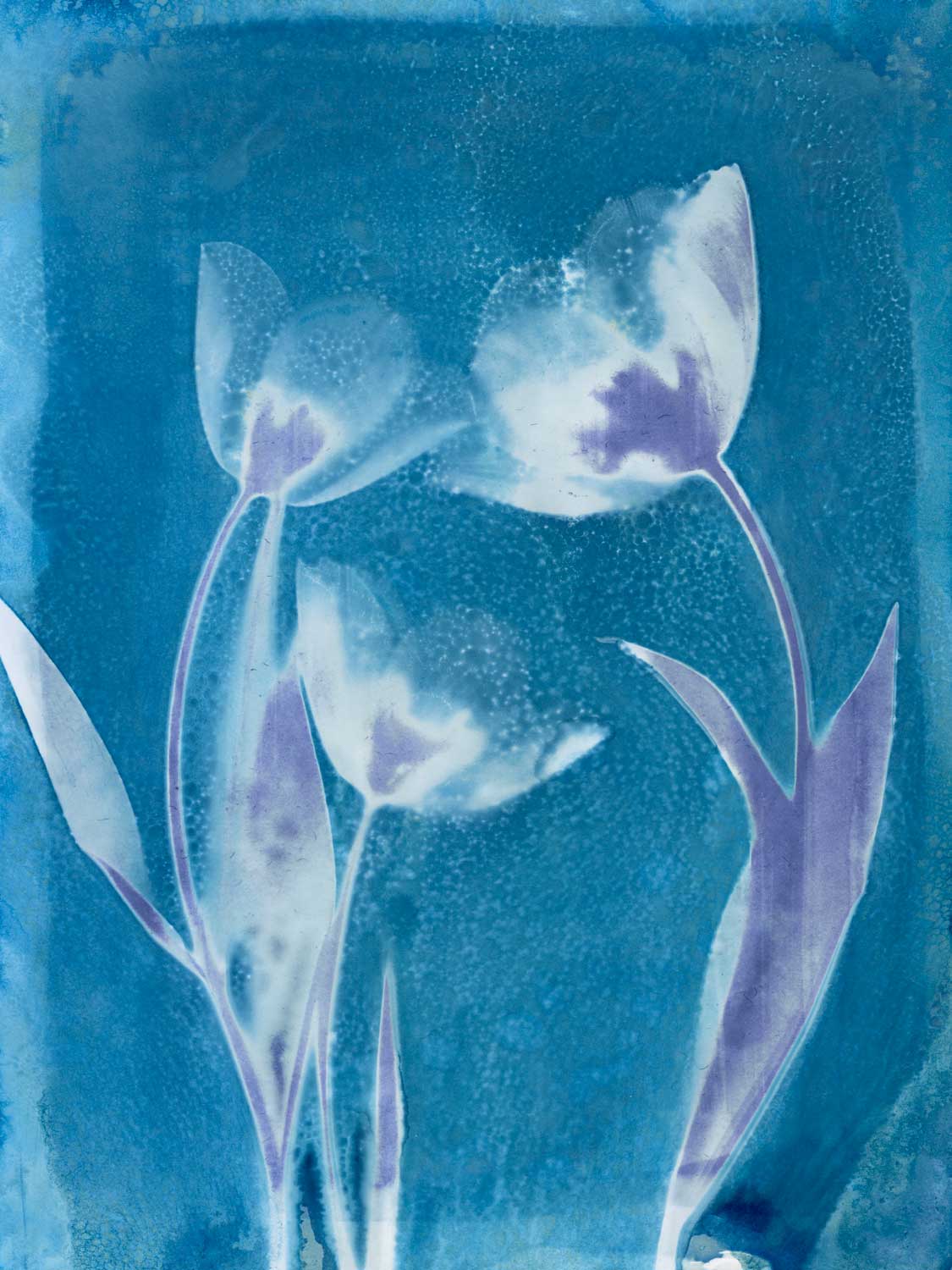 Tulip Trio by Liz St. Andre | Liquid Acrylic Art