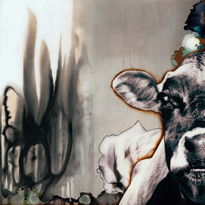 Heifer by Laura Van Horne | Liquid Acrylic Art