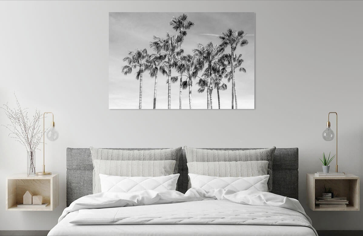 California Palms by Richard Silver | Liquid Acrylic Art