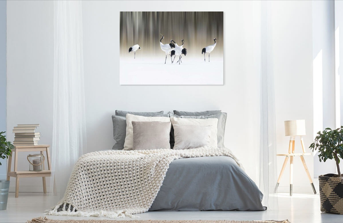 white cranes by 1x | Liquid Acrylic Art